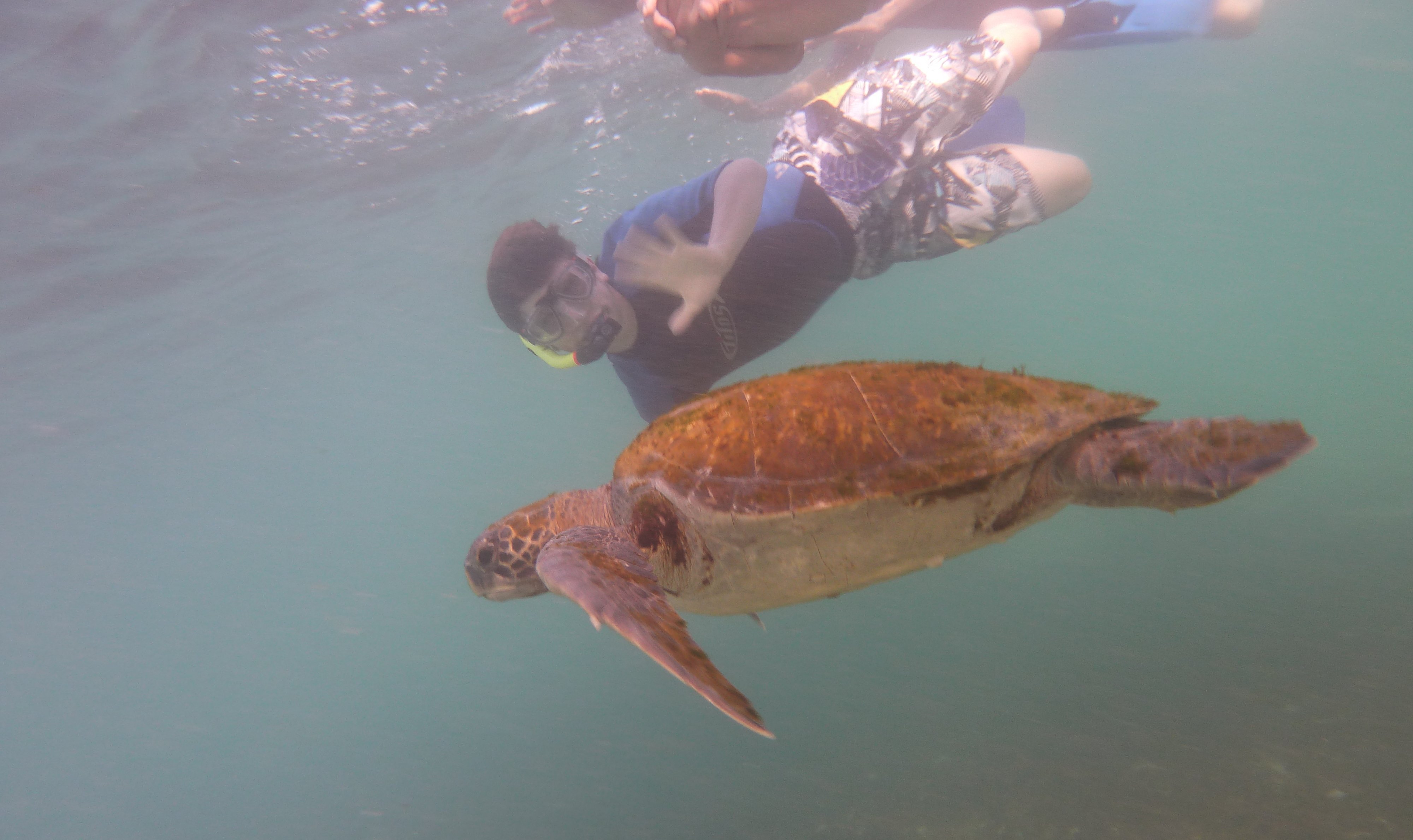 Galapagos mit Jugendlichen - Reisen mit Kindern Erinnerungen - Schnorcheln