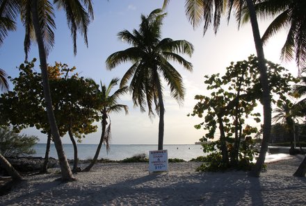 Florida Rundreise mit Kindern - Florida for family individuell - Key West - Palmenstrand