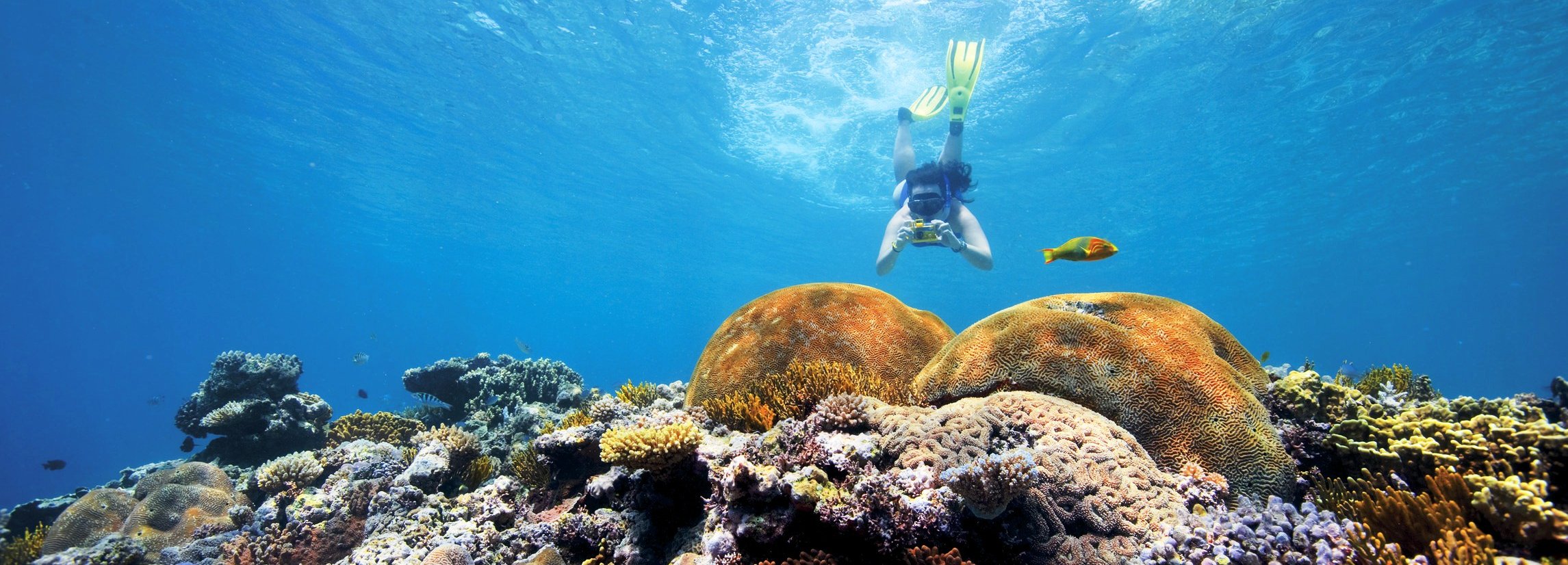 Australien mit Kindern - Australien for Family - Unter Wasser