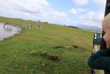 Südafrika mit Kindern - Südafrika Reise mit Kindern - Kind auf Safari in Game Reserve - Zebras