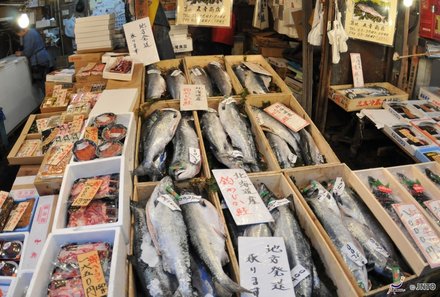 Japan mit Kindern - Fischmarkt