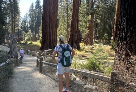 USA Familienreise - USA Westküste for family - Yosemite Nationalpark - Nadja Albrecht bei Mammutbaum