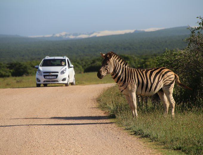 Garden Route mit Kindern individuell - Garden Route for family individuell - Best of Garden Route