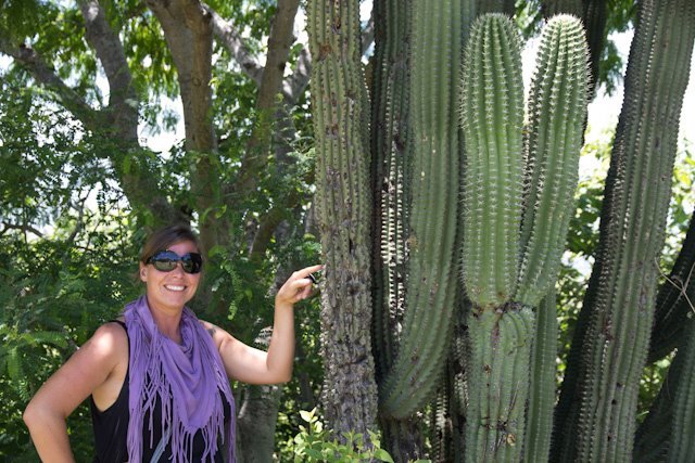 Mexiko mit Kindern - Andrea mit Kaktus