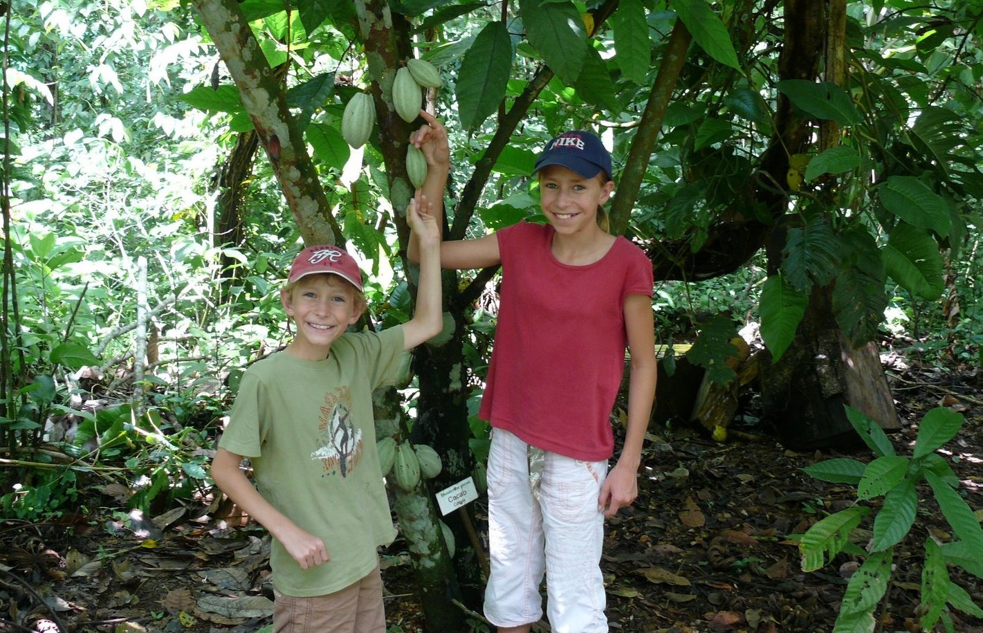 Familienreise_Costa Rica_Kinder halten Kakaopflanze