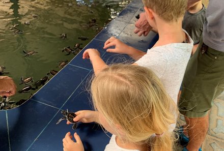 Sri Lanka Familienurlaub - Schildkröten Aufzuchtstation - Kinder am Becken