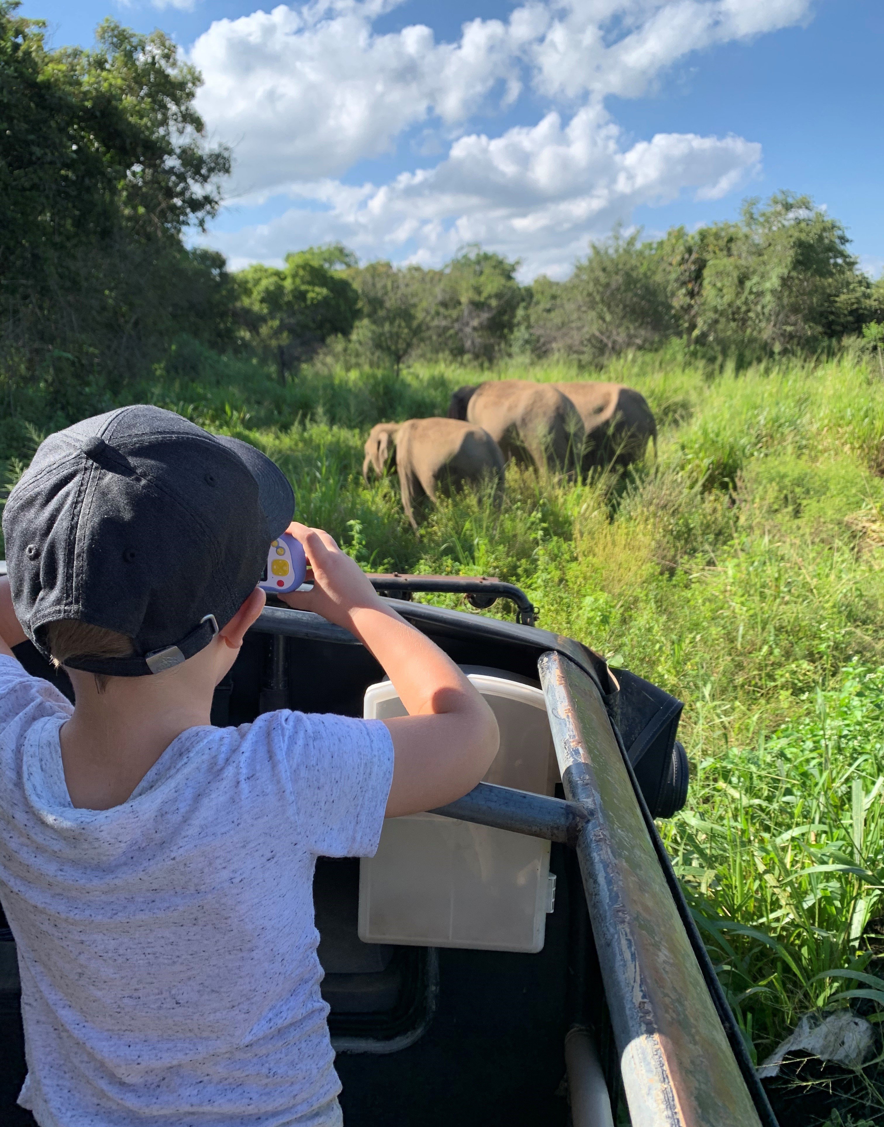 Fernreiseziele mit Kindern im Sommer - Tipps für Fernreisen im Sommer mit Kindern - Kind fotografiert Elefanten