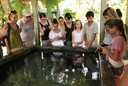 Sri Lanka Familienurlaub - Schildkröten Aufzuchtstation