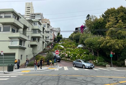 USA Südwesten mit Kindern - USA for family individuell - Kalifornien, Nationalparks & Las Vegas - Kurvige Lombard Street in San Francisco