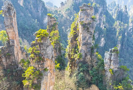 China Familienreise - China mit Jugendlichen -  Felslandschaft Avatar-Berge
